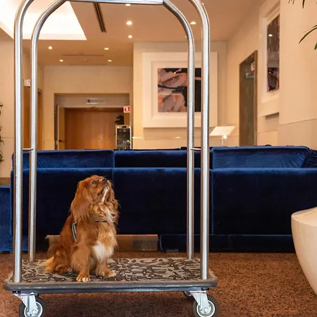 Hilton Garden Colosseum Ξενοδοχείο